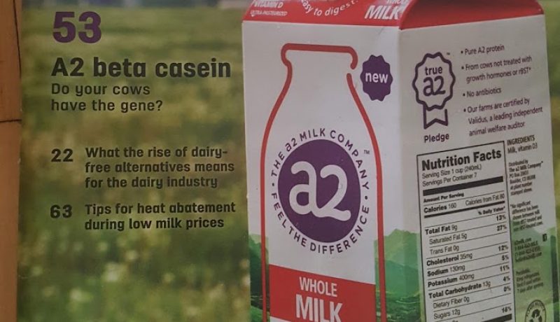 2018 Progressive Dairyman cover A2 milk