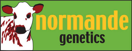 Normande Genetics Sustainability and Added Value