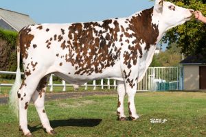 Nintendo resized Nintendo resized