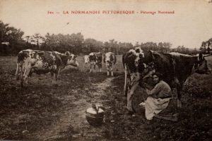 big_Normandie_20pitoresque_20-_20562_20- 800