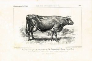 il_570xN.1723235624_6eqp