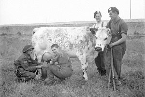 photo_bretteville_l_orgueuilleuse_1944_normandie_14-1