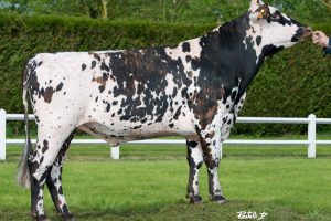 INFINITY 4MP INFINITY 4MP