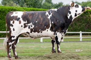 Pilier 4MB old Pilier 4MB old